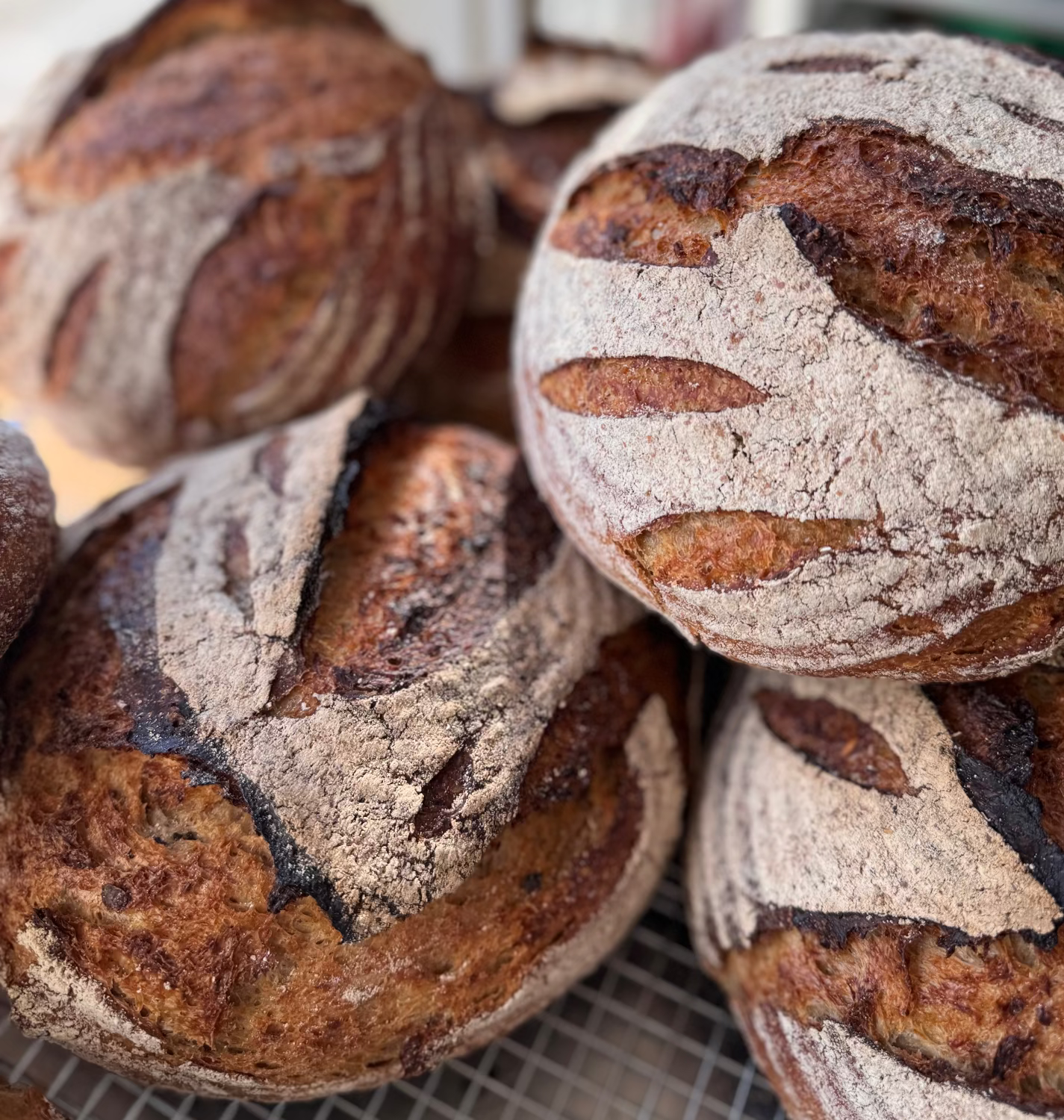 Oat Porridge Einkorn Sourdough